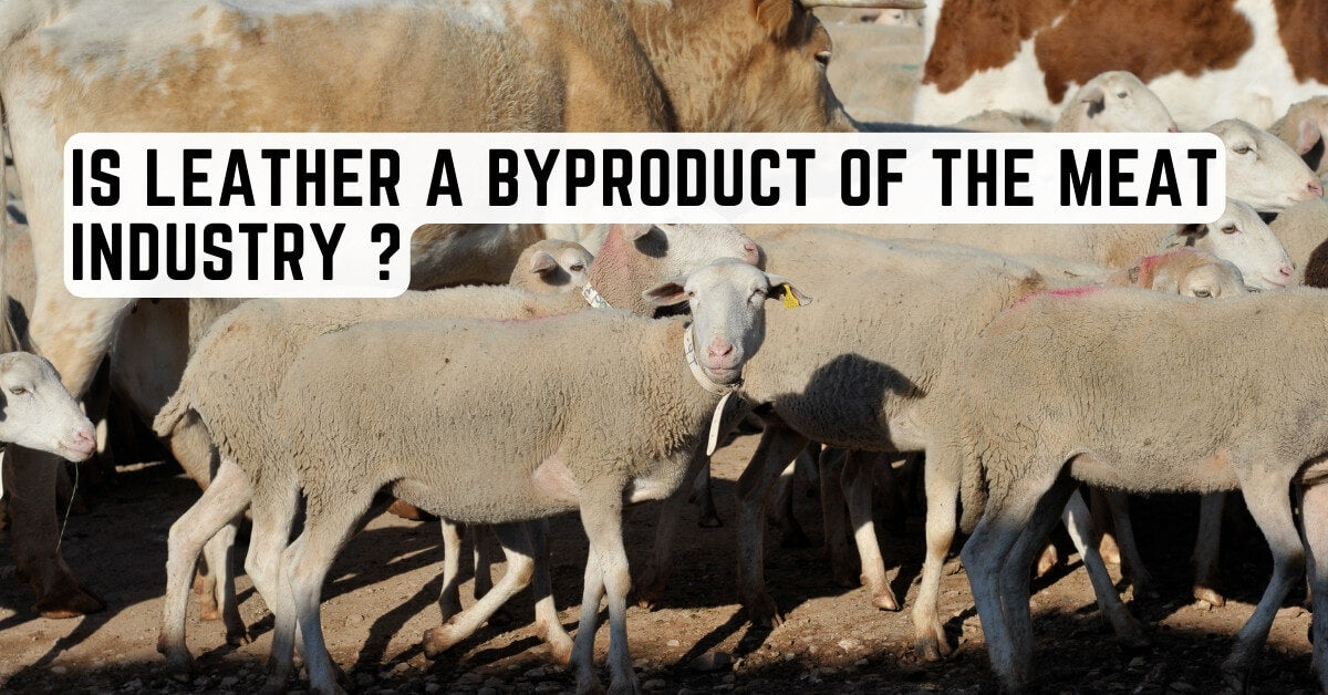 Is Leather a Byproduct of the Meat Industry?