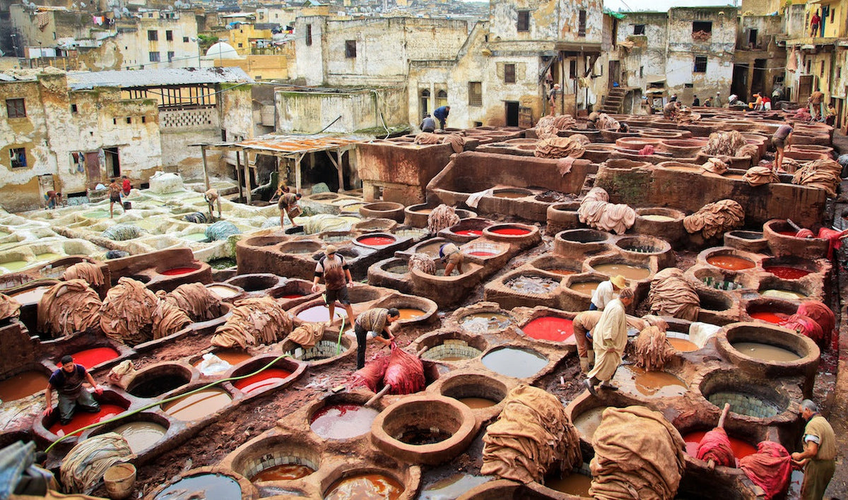 How Tanneries Shape Their Community